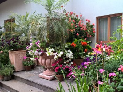 Apartment Apartment II f.2-3 Pers./Wohn-Schlafraum/Dusche, W - Outdoor photo 6
