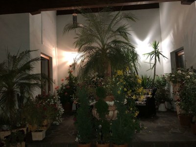 Apartment Apartment I f.2-3 Pers./Wohn-Schlafraum/Dusche, WC - Outdoor photo 7