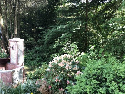 Apartment Apartment I f.2-3 Pers./Wohn-Schlafraum/Dusche, WC - Outdoor photo 8