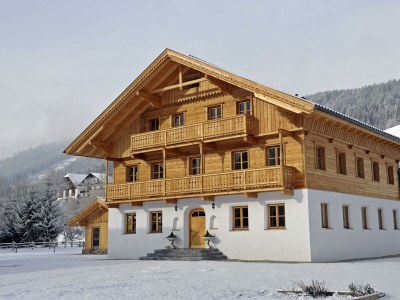 Apartment Haus Alfons - Apartment Enzian, 1 Schlafraum in Schladming - Apartment