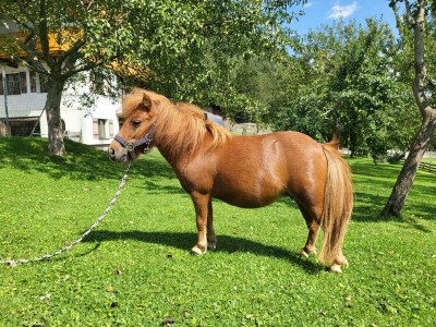 Apartment Rose, 1 Schlafraum /Dusche oder Bad/WC - Outdoor photo 22