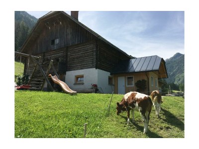 Apartment App. Hochwurzen - Outdoor photo 11