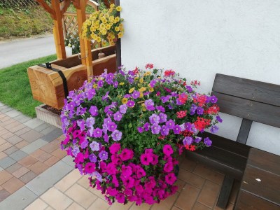 Apartment Apartment A/1 Schlafraum/Dusche, WC in Schladming-Rohrmoos - Apartment