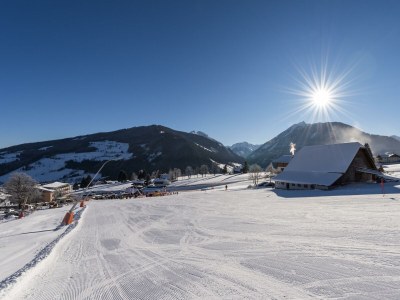 Holiday room Suite Dachstein - Outdoor photo 8