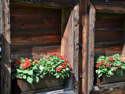 Holiday room Suite Dachstein - Outdoor photo 22