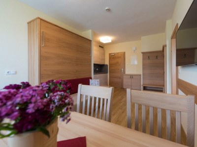 Holiday room Suite Dachstein - Outdoor photo 29