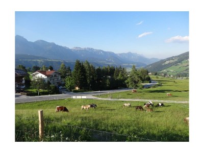 Apartment Appartement "Dachstein" - Outdoor photo 20