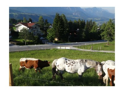 Apartment Appartement "Dachstein" - Outdoor photo 21
