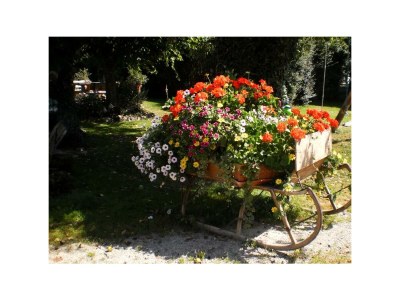 Apartment Apartment/1 Schlafraum/Dusche, WC - Outdoor photo 12