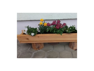 Apartment Apartment/1 Schlafraum/Dusche, WC - Outdoor photo 11