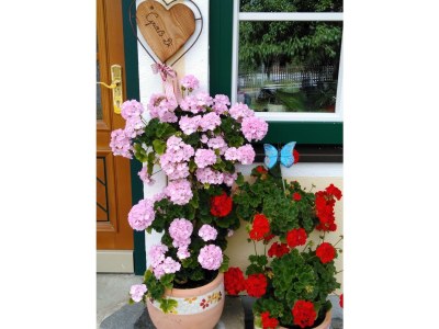 Apartment App. 3 - Apartment/Wohn-Schlafraum/Bad, WC - Outdoor photo 6