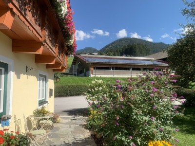 Apartment App. 4 - Apartment/Wohn-Schlafraum/Bad, WC - Outdoor photo 17