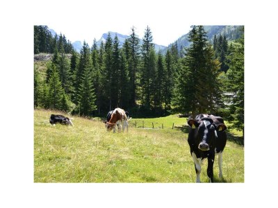 Holiday room Nr. 8 - Doppelzimmer mit Dusche, WC - Outdoor photo 13