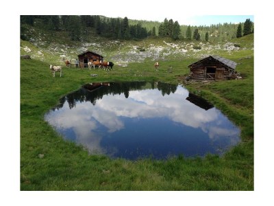 Apartment App. A1 /2 Schlafraum/Dusche, WC - Outdoor photo 36