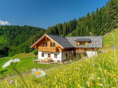 Apartment Familienchalet JAGD (Kurzbucherrate) - Outdoor photo 18
