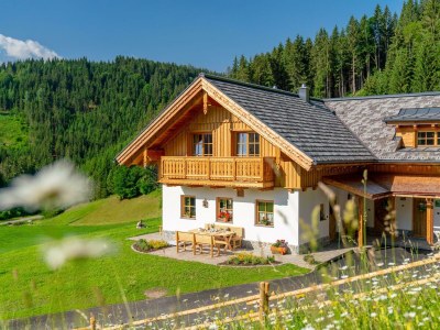Apartment Romantikchalet NATUR (Kurzbucherrate) - Outdoor photo 39