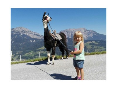 Holiday room Stoderblick - DZ mit Dusche, WC - Outdoor photo 33