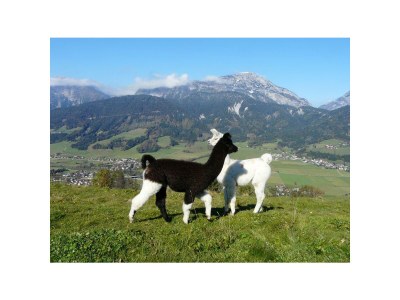 Holiday room Stoderblick - DZ mit Dusche, WC - Outdoor photo 35