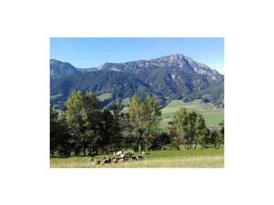 Holiday room Stoderblick - DZ mit Dusche, WC - Outdoor photo 39