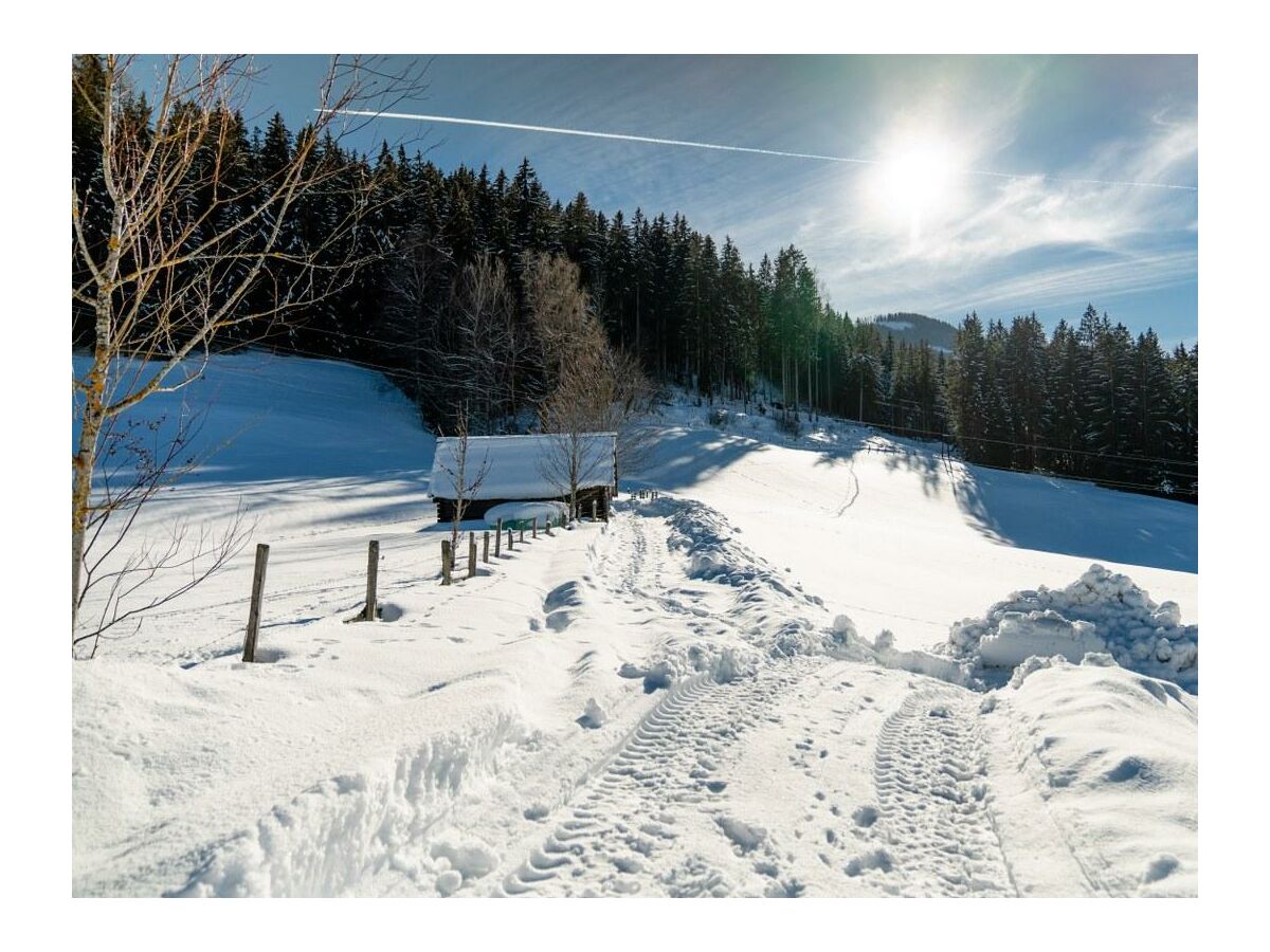 Apartment Ferienhaus Klausnerhof - 4 Schlafzimmer, 4 Bäder - Outdoor photo 4