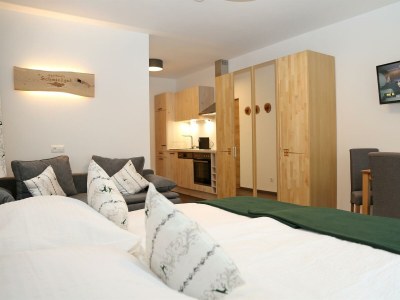 Apartment Apartment 6 - Wohn-/Schlafraum, Dusche, WC - Features photo 31