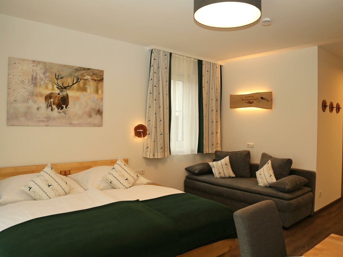Apartment Apartment 5 - Wohn-/Schlafraum, Dusche, WC