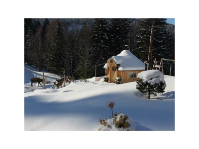 Apartment App. Dachstein - 2 Schlafräume, Dusche, WC - Outdoor photo 27