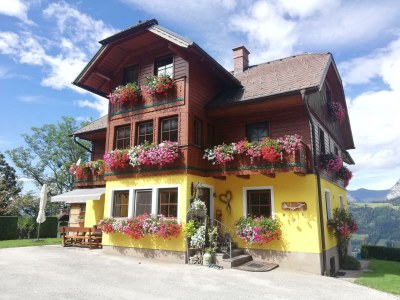 Apartment Ferienwohnung *Grimmingblick* in Michaelerberg-Pruggern - Apartment