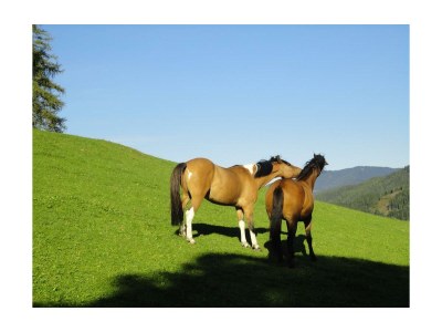 Holiday room Doppelzimmer mit Dusche, WC - Outdoor photo 26