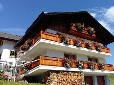Apartment Ferienwohnung Himbeere - Outdoor photo 2