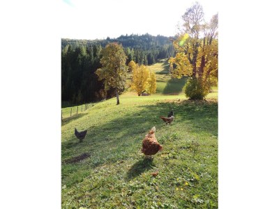Holiday room Doppelzimmer mit Dusche, WC - Outdoor photo 41