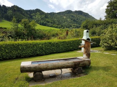 Apartment Appartement "Gerald" - Outdoor photo 32