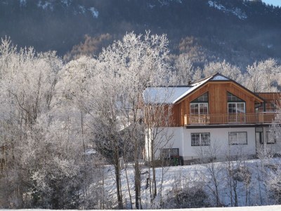 Apartment Apartment Stoderzinken plus - Features photo 34