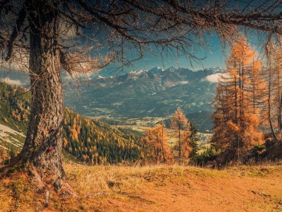 Apartment Landhaus Appartement 2, 100m² 4-8 Personen - Outdoor photo 42