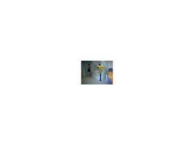 Apartment Apartment/1 Schlafraum/Dusche od. Bad,WC - Outdoor photo 2