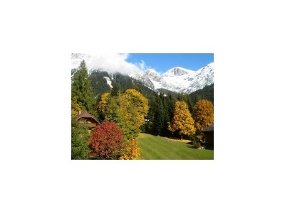 Apartment App. Dachstein / 2 Schlafräume / 2 Badezimmer - Features photo 42