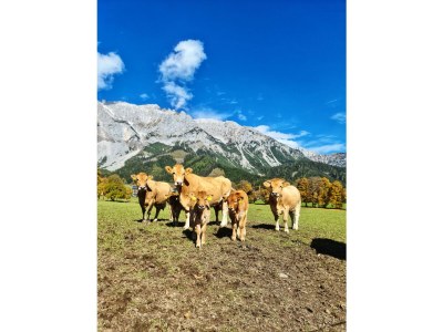 Holiday room Doppelzimmer mit Dusche, WC - Outdoor photo 21
