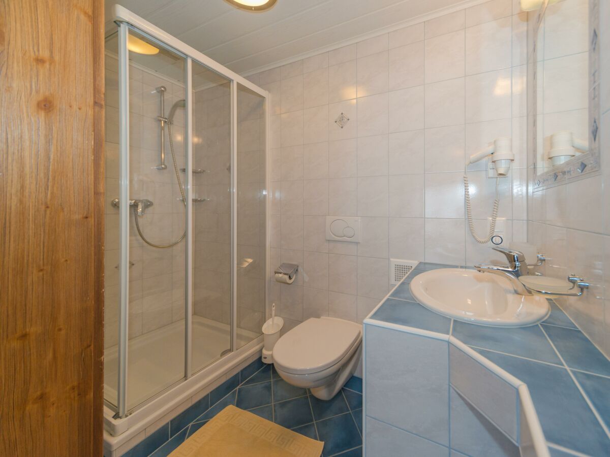 Apartment Apartment Enzian/1 Schlafraum/Dusche, WC