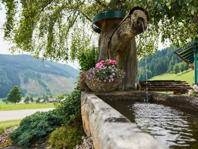 Apartment Appartement Natur 5, 50m²/1 Schlafzimmer - Outdoor photo 6