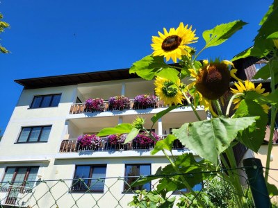 Apartment Ferienwohnung Alpenrose - Outdoor photo 31