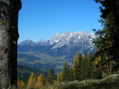 Apartment Ferienwohnung Alpenrose - Outdoor photo 46