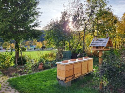 Apartment Ferienwohnung Alpenrose - Outdoor photo 61