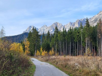 Apartment Ferienwohnung Alpenrose - Outdoor photo 77