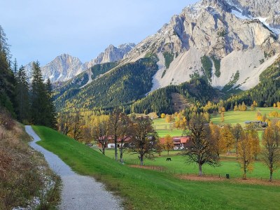 Apartment Ferienwohnung Alpenrose - Outdoor photo 85