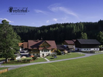 Apartment Appartement Waldgeflüster - Outdoor photo 9