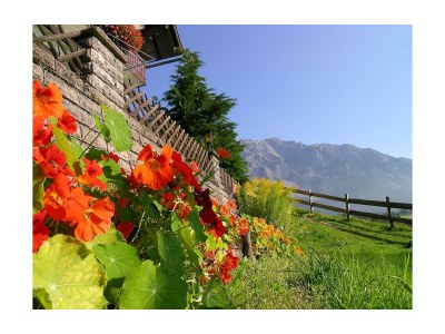 Holiday room Doppelzimmer B mit Dusche od. Bad, WC - Outdoor photo 35