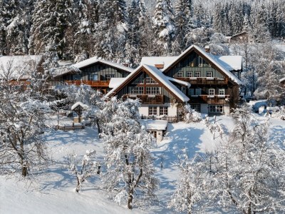 Apartment Buama Kammer in Ramsau am Dachstein - Apartment