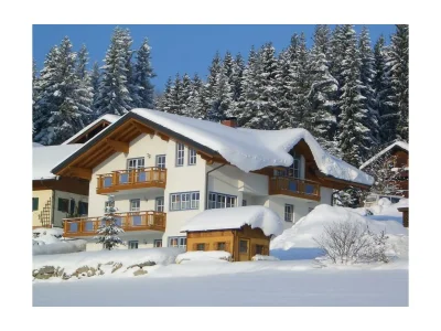 Apartment Apartment/1 Schlafraum/Dusche, WC, 45 m² in Ramsau am Dachstein - Apartment