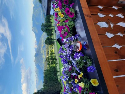 Holiday room Doppelzimmer mit Dusche, WC - Outdoor photo 11