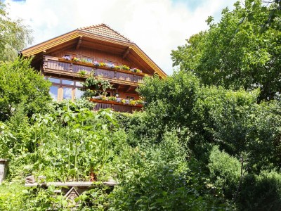 Apartment Bio-Appartement Tauern mit finn. Sauna/Terrasse in Ramsau am Dachstein - Apartment